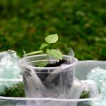 Niederländische Regierung wischt geplante „Plastiksteuer“ vom Tisch